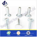 Flat round head square neck screw